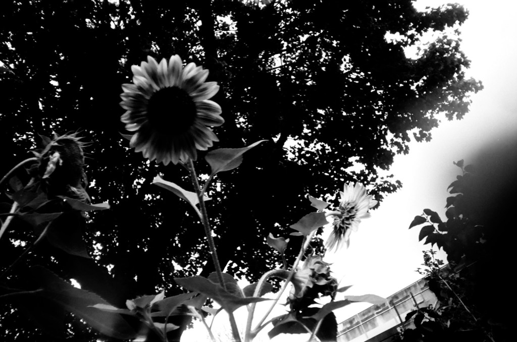 A Long Exhale with a Butterfly at the End