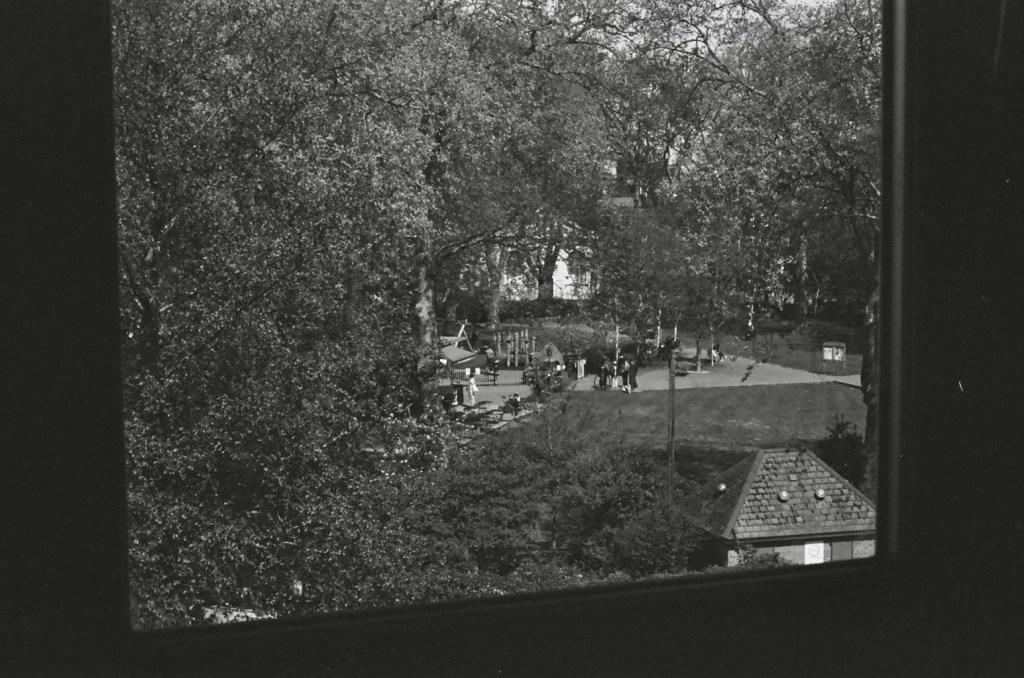 What is it you think we’re doing here, exactly?